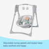 Picture of Graco Slim Spaces Compact Baby Swing, Reign
