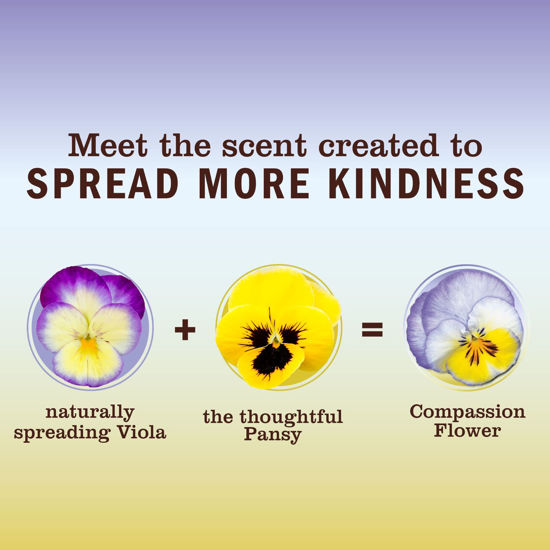 GetUSCart- MRS. MEYER'S CLEAN DAY Hand Soap, Made with Essential Oils ...