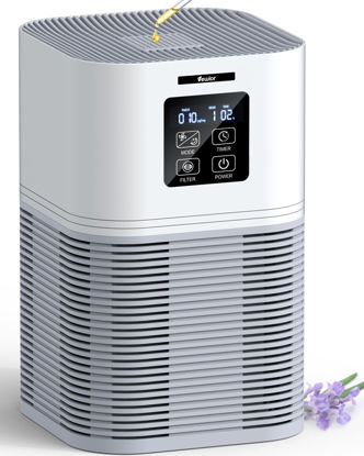 Picture of VEWIOR Air Purifiers for Home, HEPA Air Purifiers for Large Room up to 600 sq.ft, H13 True HEPA Air Filter with Fragrance Sponge 6 Timers Quiet Air Cleaner for Pet Dander Wildfire