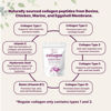 Picture of Multi Collagen Protein Powder, 2lbs - Hydrolyzed Collagen Peptides | Type I,II,III,V,X with Biotin 10000mcg, Hyaluronic Acid, Vitamin C - Unflavored - Keto & Paleo Friendly, Easy Dissolve, Non-GMO
