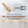 Picture of Boeray 5pcs Brass Hose Barb Fittings 1/4 Inch Barb to 1/8 Inch NPT Male Thread Air Hose Fittings Adapter Connector Water Fuel Air Line Fittings 1/4” Barb × 1/8” NPT Brass Fittings