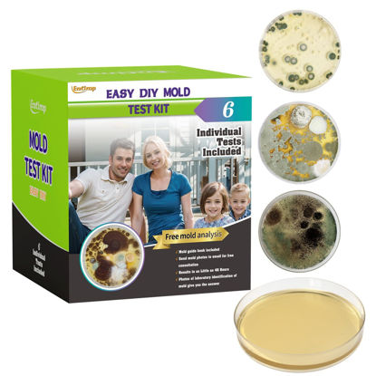 Picture of Mold Test Kit for Home Within 6 Individual Tests,DIY Detector at Home,Surface Mold,HVAC,Indoor Air Quality Testing Kits,Black Mold Testing,Includes Detailed Mold Identification Guide and Free Lab