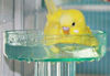 Picture of Lixit Quick Lock Bird Cage Bath for Lovebirds, Canaries, Finches, Parakeets, and Cockatiels and Other Small to Medium Feathered Friends (Pack of 1)