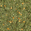Picture of Kaytee Bird Greens Treat for All Pet Birds, 1 oz