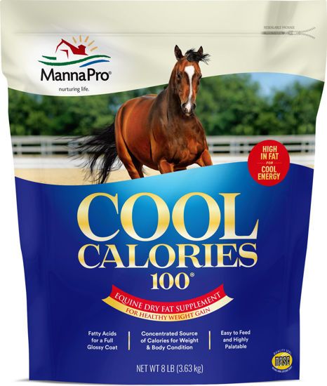Picture of Manna Pro Cool Calories 100 | Equine Dry Fat Supplement for Healthy Weight Gain | 8 Pounds