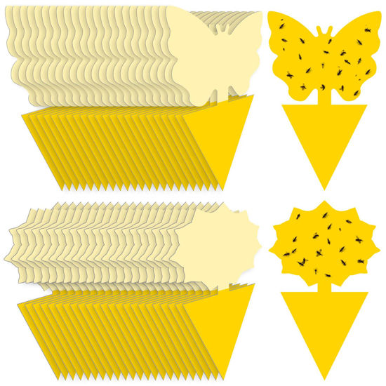 Picture of Landisun Fruit Fly Sticky Traps 48PCS Fungus Gnat Traps Bug Traps Gnat Killer for Indoor Outdoor House Kitchen Plants Whitefly Mosquitos Flying Insects Yellow Designed by JPMOS