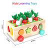 Picture of Toddlers Montessori Wooden Educational Toys for Baby Boys Girls Age 1 2 3 Year Old, Shape Sorting Toys 1st One First Birthday Girl Gifts for Kids 1-3, Wood Preschool Learning Fine Motor Skills Game
