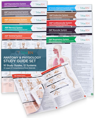 Picture of TribeRN Anatomy & Physiology Study Guides - Set of 10 Human Anatomy Guides for Nursing Students, School, College, Medical Professions - 12 Topics on Body Systems w/ Reference Charts & Terminology