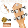 Picture of Hricane Concert Ukulele Ziricote 23 Inch Professional Hawaiian Ukuleles for Beginners with Gig Bag Strap Strings Sets