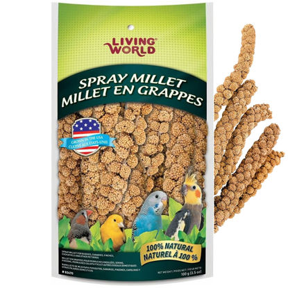 Picture of Living World - Millet Spray for Birds, 3.5 Oz - Premium Treat for Budgies, Canaries, Finches, Cockatiels and Other Pet Birds