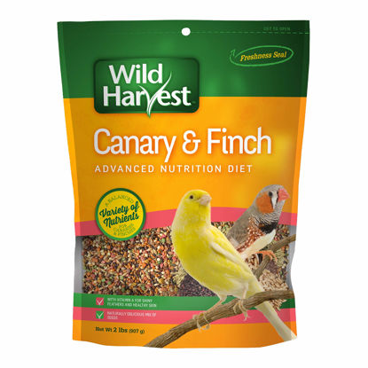Picture of Wild Harvest B12492Q-001 Canary and Finch Food Blend, One Size, 2 Pound (Package May Vary)
