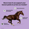 Picture of Formula 707 Joint 6in1 Equine Supplement, Daily Fresh Packs - Support for Joint Integrity and Inflammatory Response in Horses - Green-Lipped Mussel, MSM, Glucosamine, Chondroitin & Collagen