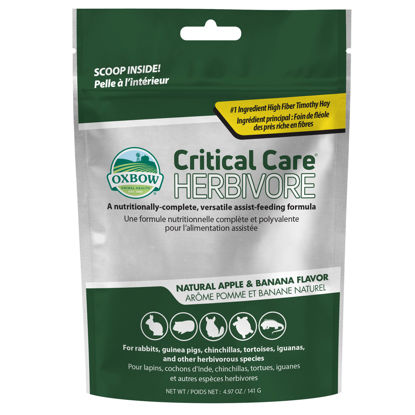 Picture of Oxbow Critical Care Herbivore - Nutritionally Complete Feeding Assist Formula for Small Animals & Pets - Critical Care Herbivore Apple-Banana (141g)