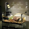 Picture of Lachesan 4-Pack 50W UVA UVB Bulbs, Fit E26 Heat Reptile Lamp, Light Turtle Heat Lamp for Reptiles and Amphibian Tanks, Terrariums and Cages, Works with Various Lamp Fixtures