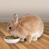 Picture of Kaytee Timothy Complete Pet Rabbit Food 9.5 pounds