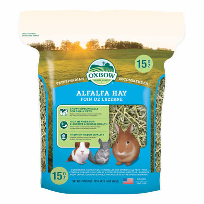 Picture of Oxbow Animal Health Alfalfa Hay, For Rabbits, Guinea Pigs, And Small Pets, Grown In The USA, Hand-Selected And Hand-Sorted, 15 Ounce