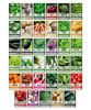 Picture of Survival Vegetable Seeds Garden Kit Over 16,000 Seeds Non-GMO and Heirloom, Great for Emergency Bugout Survival Gear 35 Varieties Seeds for Planting Vegetables 35 Free Plant Markers Gardeners Basics