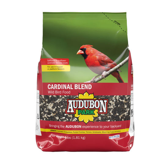 Picture of Audubon Park Cardinal Blend Wild Bird Food, Cardinal Bird Seed for Outside Feeders, 4-Pound Bag