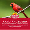 Picture of Audubon Park Cardinal Blend Wild Bird Food, Cardinal Bird Seed for Outside Feeders, 4-Pound Bag