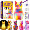 Picture of LAOESE Paint Your Own Cat Lamp Kit, Art Supplies Arts & Crafts Kit, Painting kit for Kids 6-12, Arts and Crafts for Kids Ages 8-12, Toys Girls Boy Birthday Gift Ages 3 4 5 6 7 8 9 10 11 12+