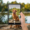Picture of Lenovo Tab M9-2023 - Tablet - Long Battery Life - 9" HD - Front 2MP & Rear 8MP Camera - 3GB Memory - 32GB Storage - Android 12 or Later - Folio Case Included,Gray