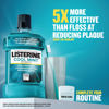 Picture of Listerine Cool Mint Mouthwash, Kills 99.9% of Germs That Cause Bad Breath, Plaque and Gingivitis, Antiseptic, Cool Mint Flavor, 1 L, 2 Pack