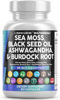 Picture of Clean Nutraceuticals Sea Moss Black Seed Oil Ashwagandha Turmeric Bladderwrack Burdock & Vitamin C Vitamin D3 with Elderberry Manuka Dandelion Yellow Dock Iodine Chlorophyll ACV
