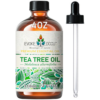 Picture of EVOKE OCCU 100% Pure Tea Tree Essential Oil for Toenail Fungus,Hair Damage,Skin Problems,Add to Shampoo,Body Wash,Conditioner 4 FL Oz