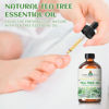 Picture of EVOKE OCCU 100% Pure Tea Tree Essential Oil for Toenail Fungus,Hair Damage,Skin Problems,Add to Shampoo,Body Wash,Conditioner 4 FL Oz