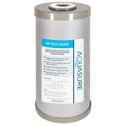 Picture of Fortitude V2 Series Sediment/Carbon/Zinc Bacteria Inhibiting Triple Purpose Replacement Filter - Standard (Sediment/Carbon/Zinc, Standard)