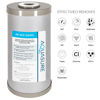 Picture of Fortitude V2 Series Sediment/Carbon/Zinc Bacteria Inhibiting Triple Purpose Replacement Filter - Standard (Sediment/Carbon/Zinc, Standard)