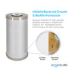 Picture of Fortitude V2 Series Sediment/Carbon/Zinc Bacteria Inhibiting Triple Purpose Replacement Filter - Standard (Sediment/Carbon/Zinc, Standard)