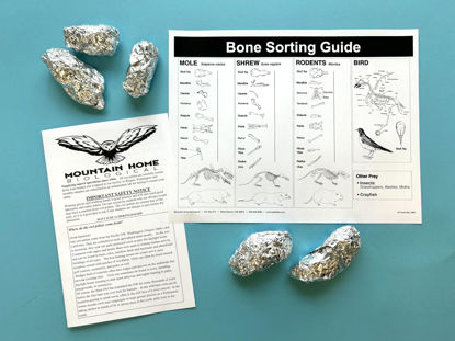 Picture of Mountain Home Biological Jumbo Owl Pellets, Pack of 5, with Bone Sorting Sheet, Inc.