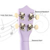 Picture of LXS Soprano Ukulele Kids Ukulele for Beginners - 21" Small Guitar Ukulele with Gig Bag, 1 Standby String and 2 Picks (Purple)