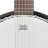 Picture of Jameson Guitars 6-String Banjo Guitar with Closed Back Resonator and 24 Brackets