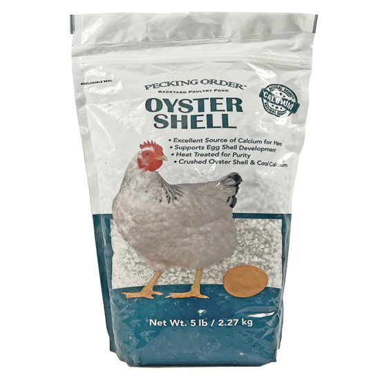 Picture of Pecking Order Oyster Shell - Calcium Supplement to Support Laying Hens and Strong Egg Shell Development (5 LB)