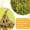Picture of Jmxu's 1LB Spray Millet Treat for Birds Parakeets, Natural Sun-Dried Birds Millet for Cockatiel, Budgie, Finches, Parrots, Hamster