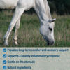 Picture of Absorbine Bute-Less Comfort & Recovery Supplement Pellets, Healthy Inflammatory Response, 5 lb / 80 Day Supply