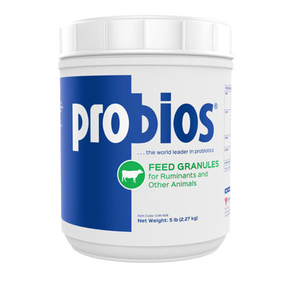 Picture of Probios Probiotics for Equine Health - Horse Supplements - Equine Digestion Support -Probiotic for Horses