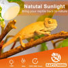 Picture of REPTI HOME Reptile Heat Lamp Bulbs, Simulate Natural Sunlight Heat Light Bulb, 2 Pack 100W Amphibian Terrarium Basking Spot Lamp for Reptile, Bearded Dragon, Lizard, Turtle, Snake