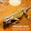 Picture of REPTI HOME Reptile Heat Lamp Bulbs, Simulate Natural Sunlight Heat Light Bulb, 2 Pack 100W Amphibian Terrarium Basking Spot Lamp for Reptile, Bearded Dragon, Lizard, Turtle, Snake