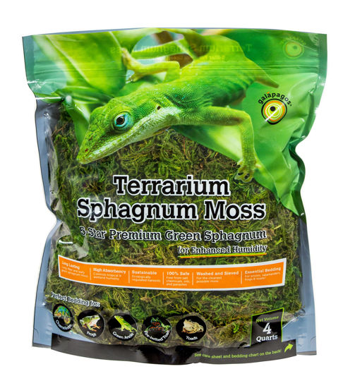 Picture of Galápagos (05213) Terrarium Green Sphagnum Moss, Natural, 4 Quart
