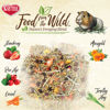 Picture of Kaytee Food from The Wild Natural Pet Guinea Pig Food, 4 Pound