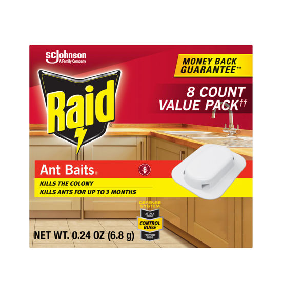 Picture of Raid Ant Killer Baits, Child Resistant Bug Killer for Indoor Home Use, 0.24 Oz, 8 Count