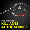 Picture of Raid Ant Killer Baits, Child Resistant Bug Killer for Indoor Home Use, 0.24 Oz, 8 Count