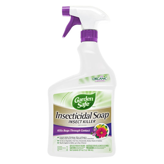 Picture of Garden Safe 32 oz. Insecticidal Soap Ready-to-Use, 1 Count (Pack of 1)