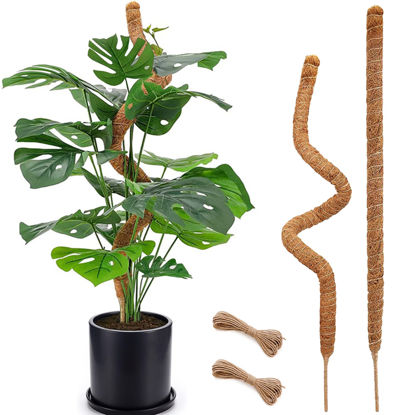 Picture of 2 Pack Moss Pole, 28 Inch Bendable Moss Pole for Plants Monstera, Moss Poles for Climbing Plants Indoor, Coir Plant Pole Sticks Support Stakes for Potted Plants, Pothos, Philodendron