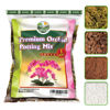Picture of DUSPRO Orchid Potting Mix for Repotting with Moss Pine Bark Mulch Perlite Stone & Coco Peat Natural Ingredients, Orchid Bark Potting Mix, Orchid Repotting Kit Drainage Indoor Potting Medium Great 1QT