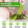 Picture of DUSPRO Orchid Potting Mix for Repotting with Moss Pine Bark Mulch Perlite Stone & Coco Peat Natural Ingredients, Orchid Bark Potting Mix, Orchid Repotting Kit Drainage Indoor Potting Medium Great 1QT