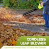 Picture of Leaf Blower, Electric Cordless Leaf Blower with 2 Batteries and Charger, 2 Speed Mode, Lightweight Leaf Blowers for Blowing Leaves, Patio Cleaning, Lawn Care and Dust